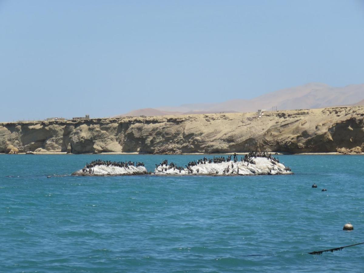 Paracas Apartment Dış mekan fotoğraf
